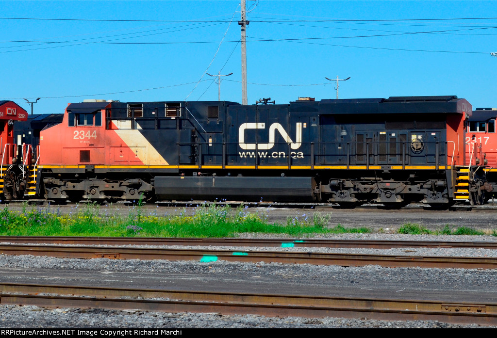 CN 2344